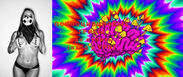 MDMA Богородицк